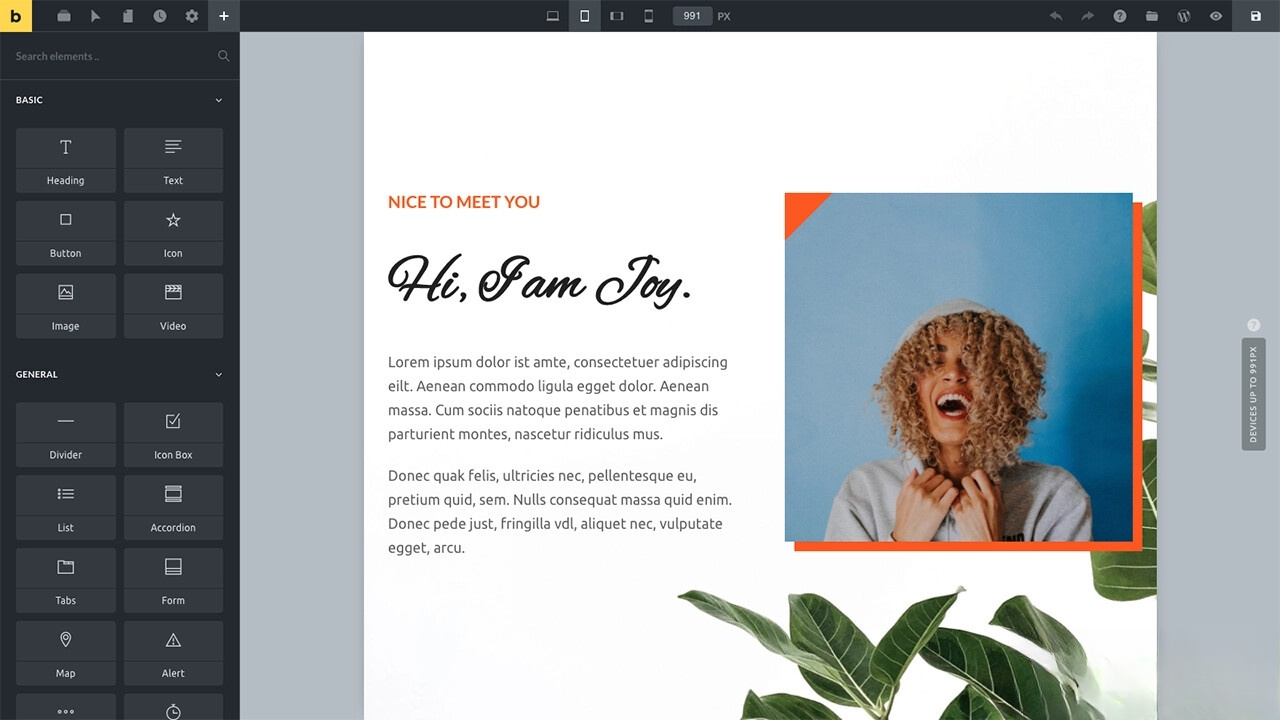WordPress主题Bricks v1.9 破解版-小优资源网