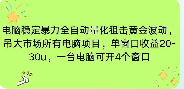 （16737期）电脑EA策略挂机项目单窗口收益20-30u，单电脑可挂5-10个窗口收益稳健4位数-小优资源网