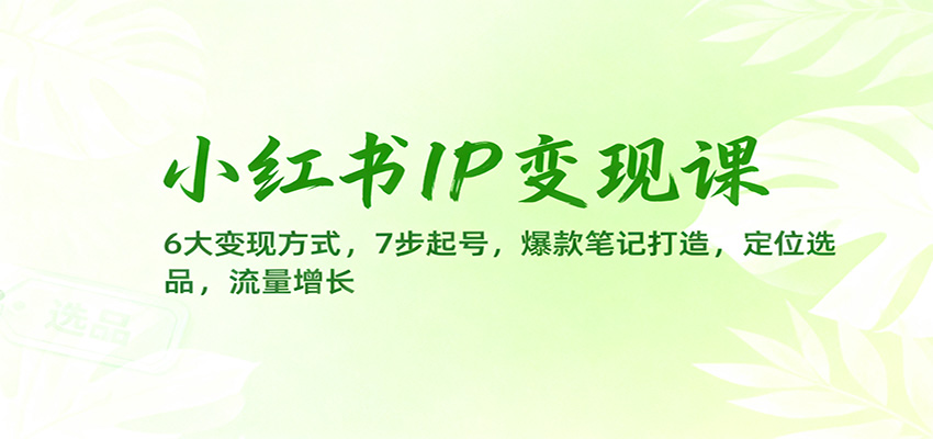 小红书IP变现课：6大变现方式，7步起号，爆款笔记打造，定位选品，流量增长-小优资源网