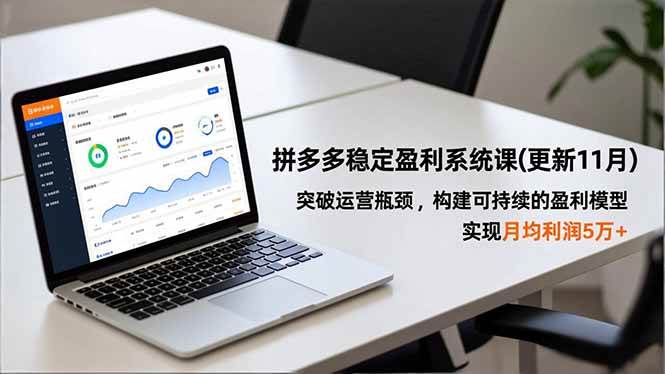 （16641期）拼多多稳定盈利系统课(更新11月)，突破运营瓶颈，构建可持续的盈利模型，实现月均利润5万+-小优资源网