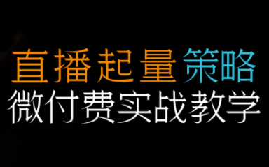 半野老师·直播带货起量与微付费必学课视频号-小优资源网