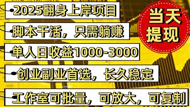 （16501期）2025翻身上岸项目脚本干活，内部客户经理内部开号，单人日收益1000-300…-小优资源网