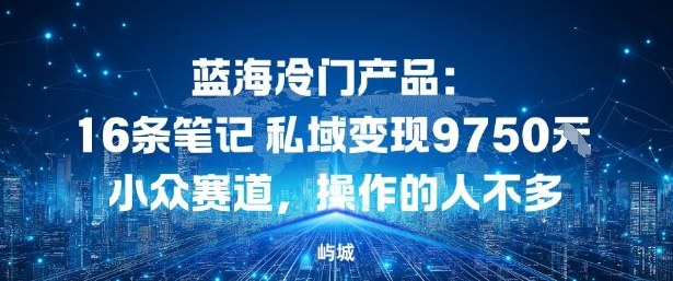蓝海冷门产品：16条笔记私域变现9750米，小众赛道，操作的人不多-小优资源网