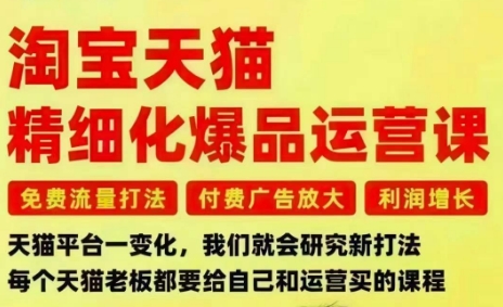 淘宝天猫精细化爆品运营课，免费流量打法-付费广告放大-利润增长-三大核心痛点，一次全部解决-小优资源网