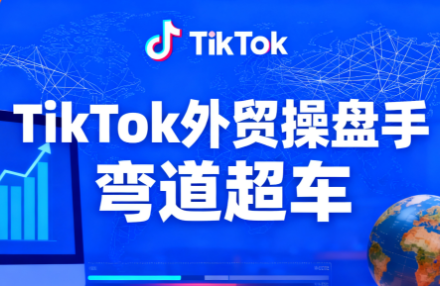 TikTok外贸操盘手(更新11月)-小优资源网