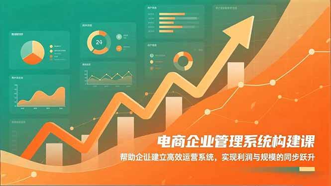 （16643期）电商企业管理系统构建课：帮助企业建立高效运营系统，实现利润与规模的同步跃升-小优资源网
