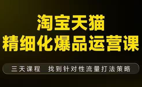 猫课子幽·淘宝天猫精细化爆品运营【音频+字幕+文档】(9月12-14杭州线下课)-小优资源网