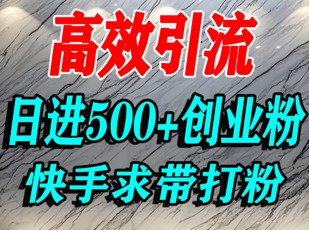 怎么打创业粉？快手求带视角精准引流创业粉，宝妈、学生群体日进500+精准流量-小优资源网