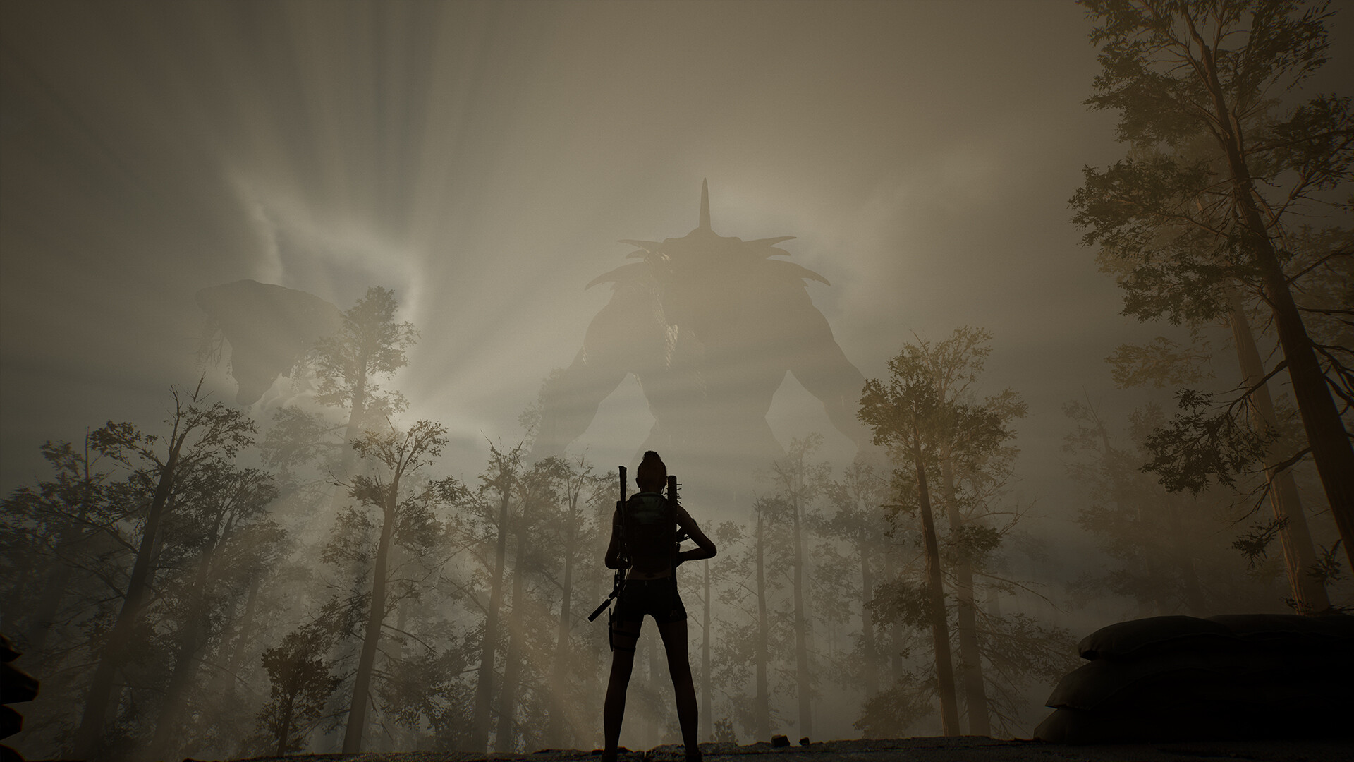 生命效应/LIFE EFFECT