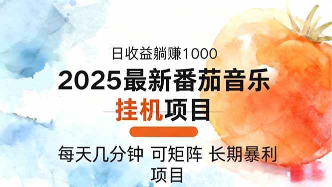 2025年最新番茄音乐人挂机项目，每天几分钟，月入1000＋，可矩阵，一台…-小优资源网