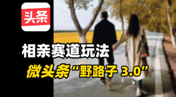 微头条“野路子3.0”相亲赛道玩法，搬砖式操作单号稳定3张-小优资源网