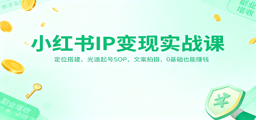 小红书IP变现实战课：定位搭建，光速起号SOP，文案拍摄，0基础也能赚钱-小优资源网