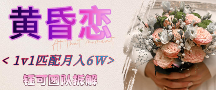 副业拆解：黄昏恋1对1匹配月入6个，潜力巨大-小优资源网