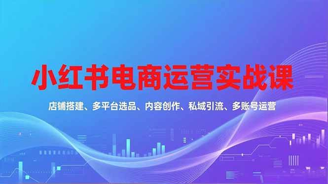 （16695期）小红书电商运营实战课，店铺搭建、多平台选品、内容创作、私域引流、多账号运营等玩法-小优资源网