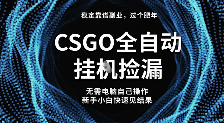 【稳定副业】全球最热门游戏CSGO全自动捡漏，最新玩法，新手小白日入5张+【揭秘】-小优资源网